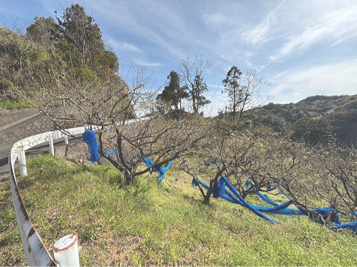 田辺市売り土地　中三栖