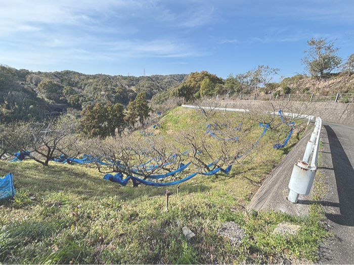 田辺市売り土地　芳養