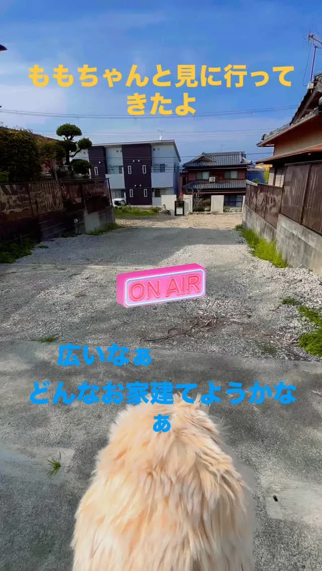 はるな不動産です🙂‍↕️