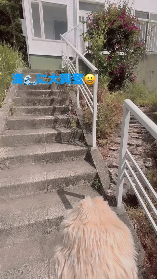 別荘地