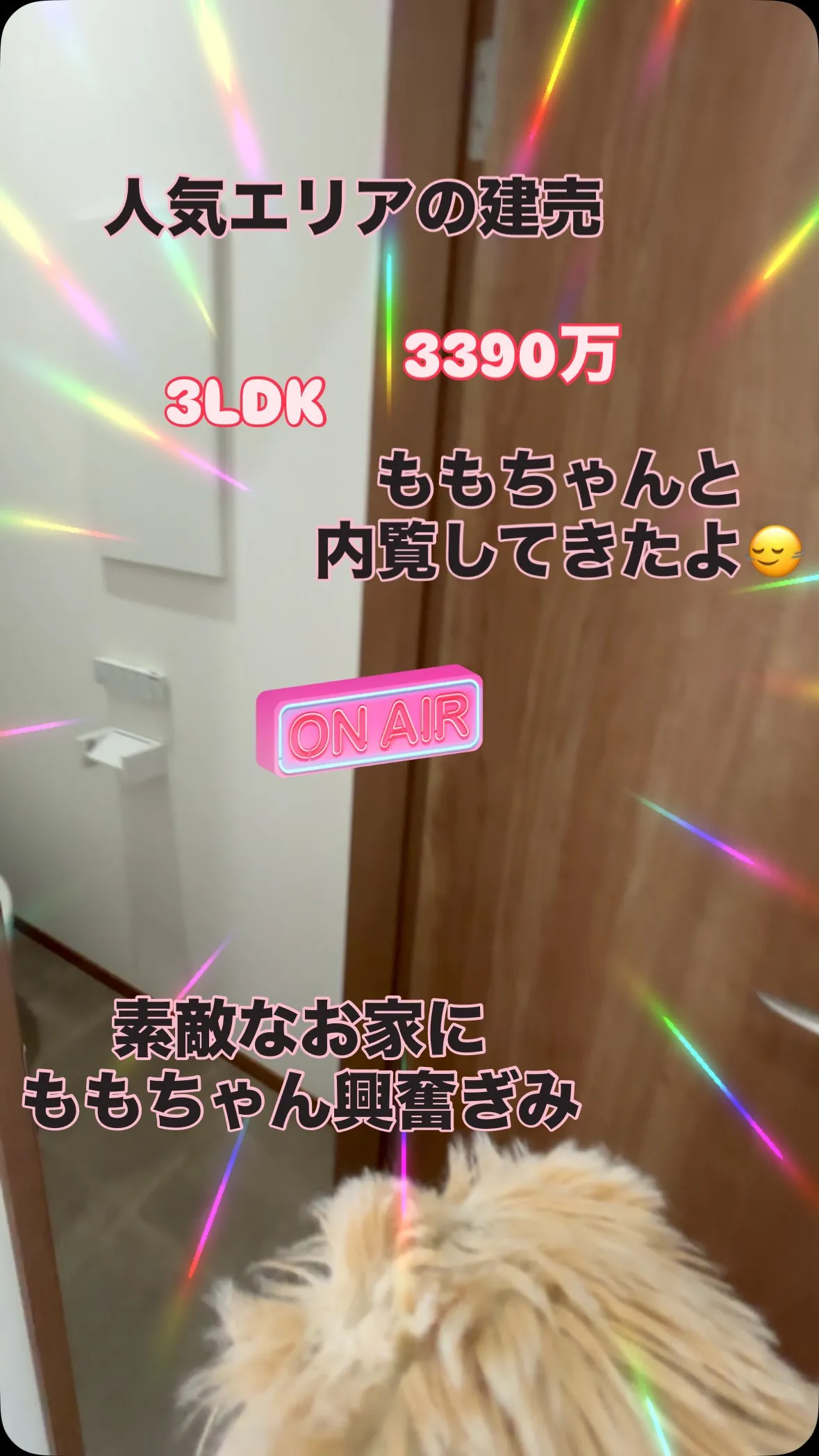 大型スーパー近くで便利なところだよ
