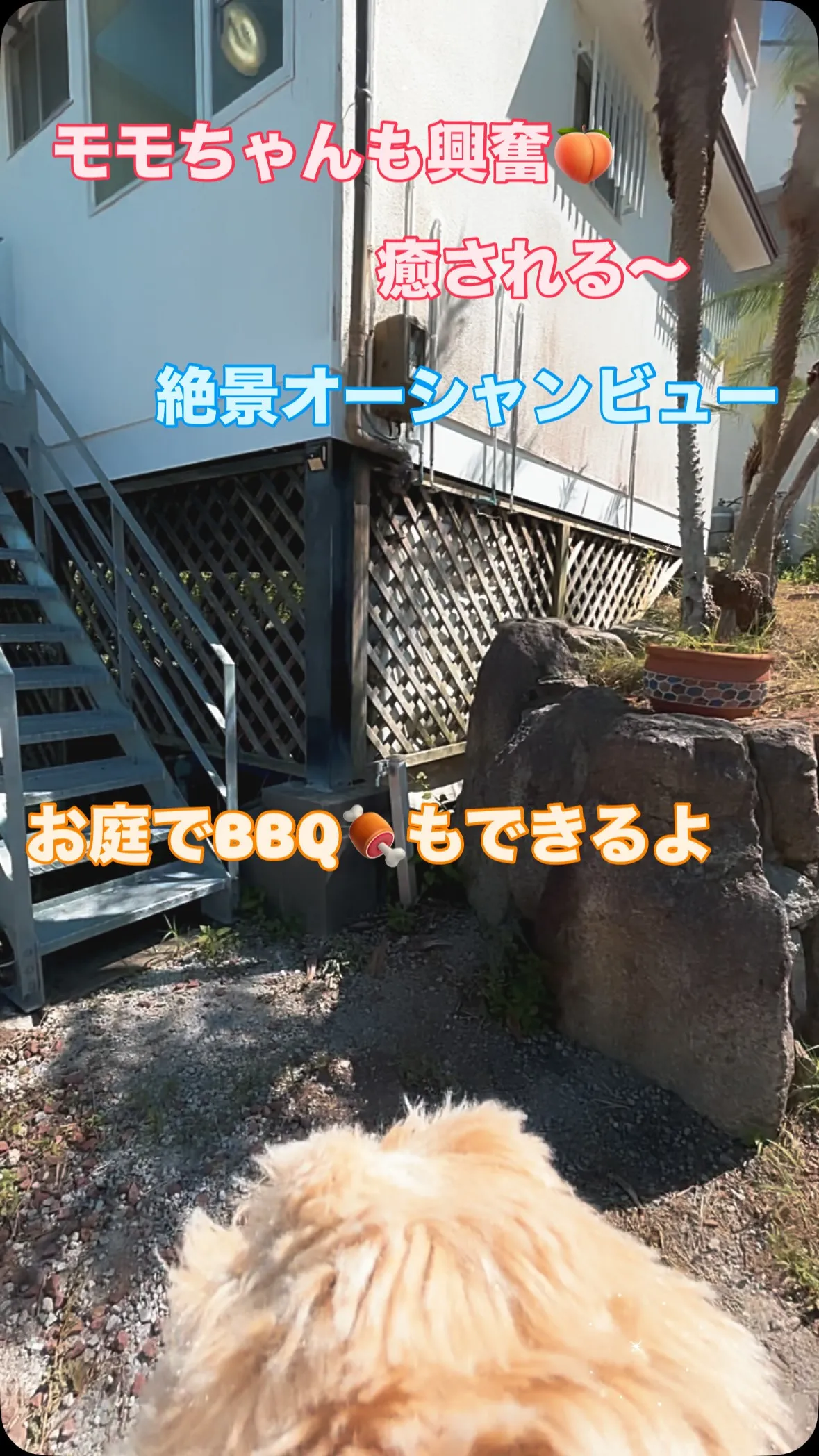 はるな不動産です🙂‍↕️