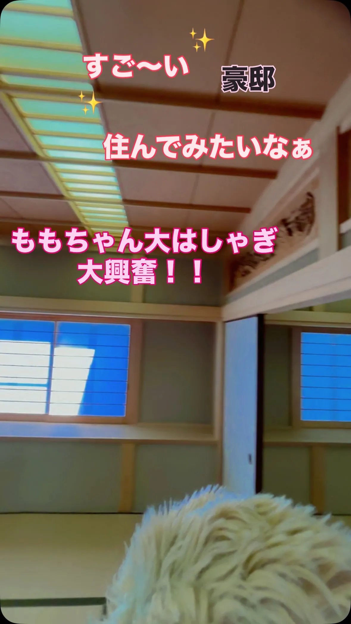 はるな不動産です🙂‍↕️