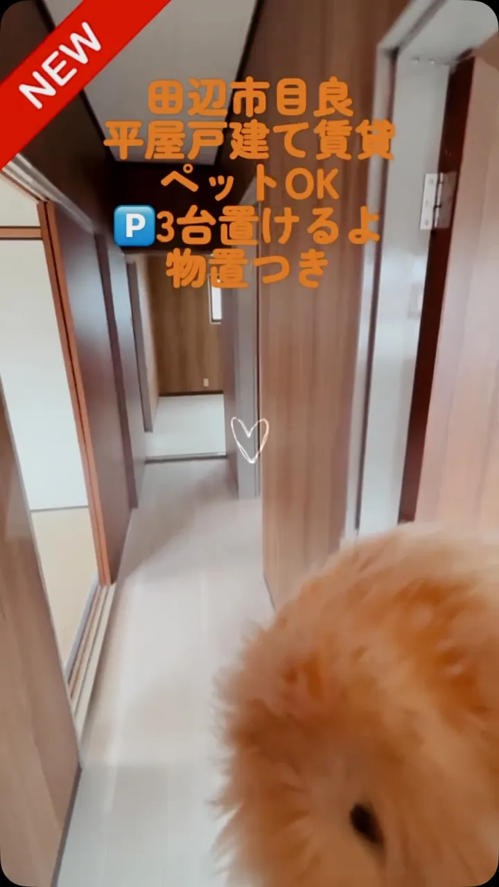 ももちゃんと一緒に内覧してきたよ🙂‍↕️